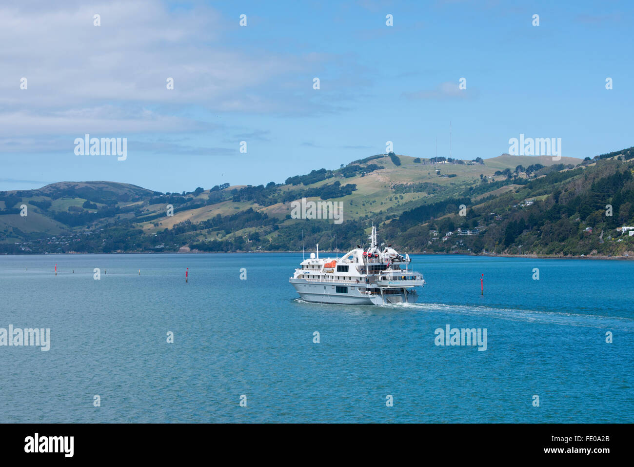Nouvelle Zélande, île du Sud, Dunedin, Otago Peninsula, près de Port Chalmers. Expedition cruise ship, découvreur de corail. Banque D'Images