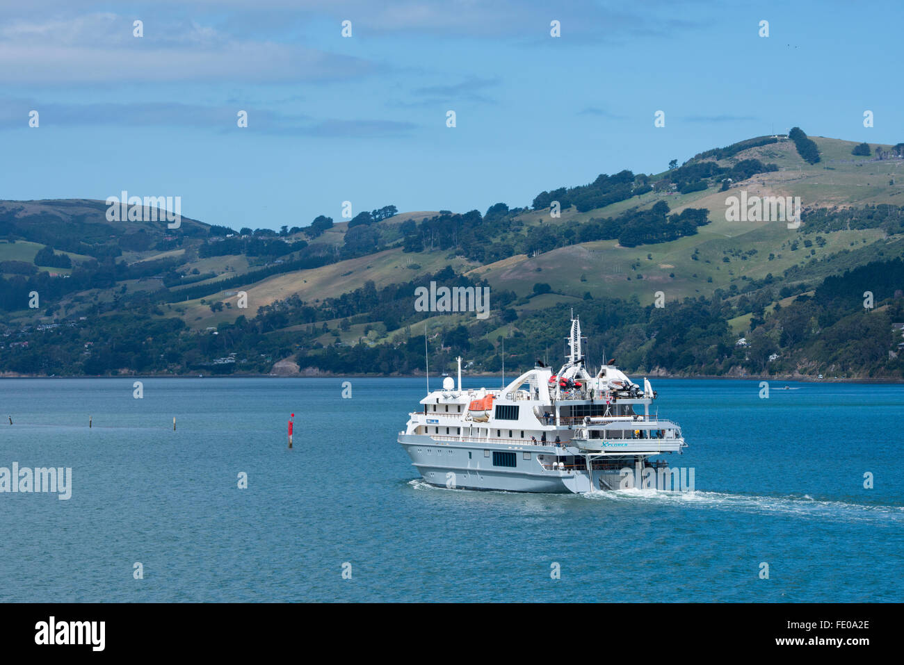 Nouvelle Zélande, île du Sud, Dunedin, Otago Peninsula, près de Port Chalmers. Expedition cruise ship, découvreur de corail. Banque D'Images