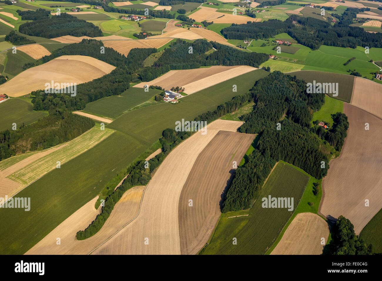 Par antenne, agriculture, élevage, champs et prairies et forêts dans les contreforts des Alpes, à Linz, Haute Autriche, Krennhof Banque D'Images