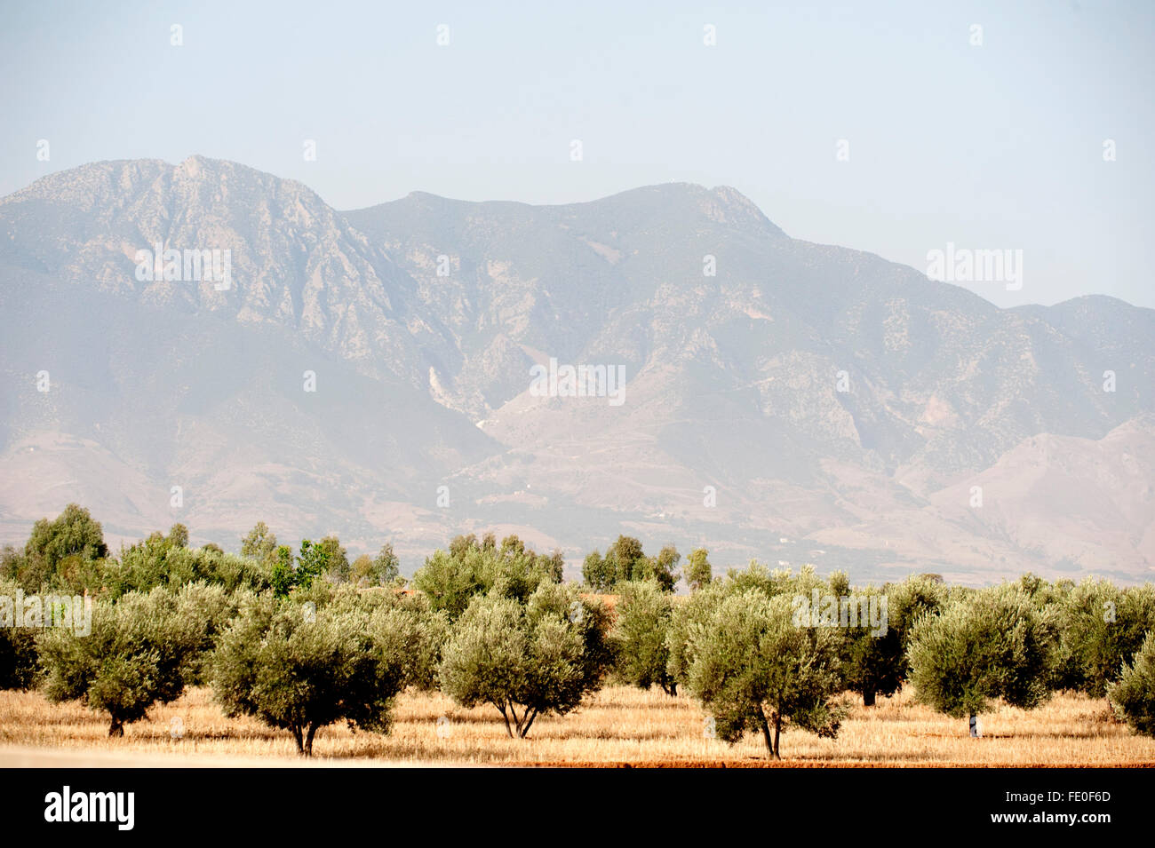 Vue sur l'Atlas, Maroc Banque D'Images
