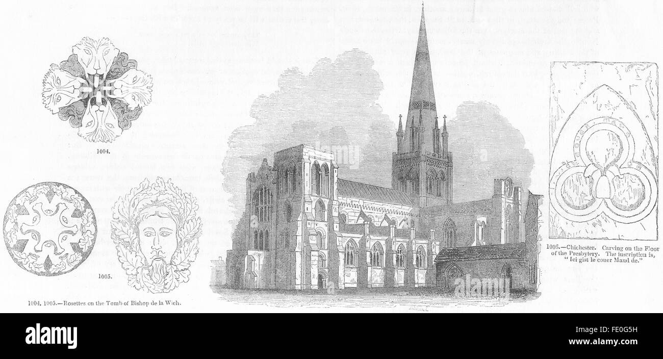 CHICHESTER : Cathédrale, rosettes, carving, ancien 1845 Banque D'Images
