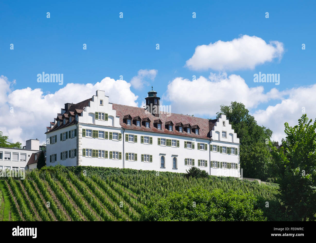 Schloss Binningen Binningen, château, Immenstaad am Bodensee, en Haute Souabe, Bade-Wurtemberg, Région de Bodensee, Allemagne Banque D'Images