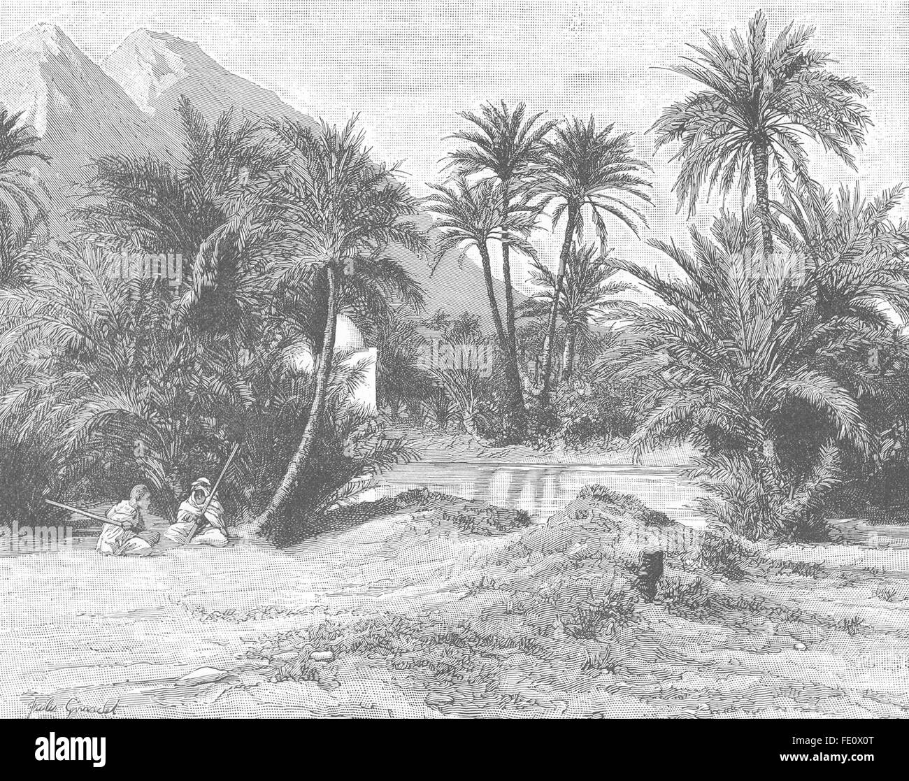 Afrique du Nord : Oasis dans l'Est Sahara, ancien 1893 Banque D'Images