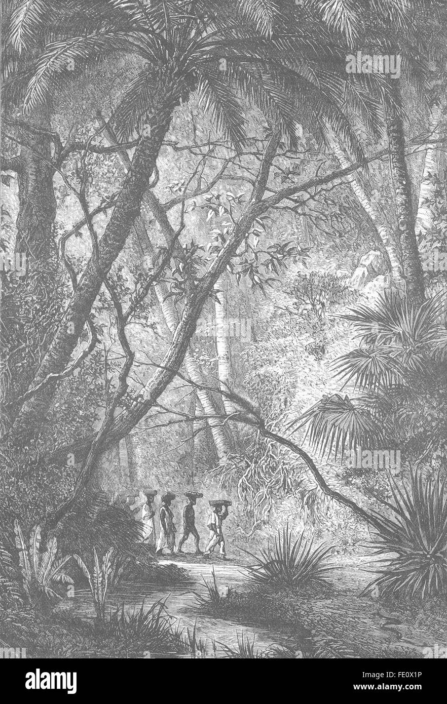 Guinée portugaise : Scène en Sénégambie Portugaise. Guinée-bissau, 1893 Banque D'Images
