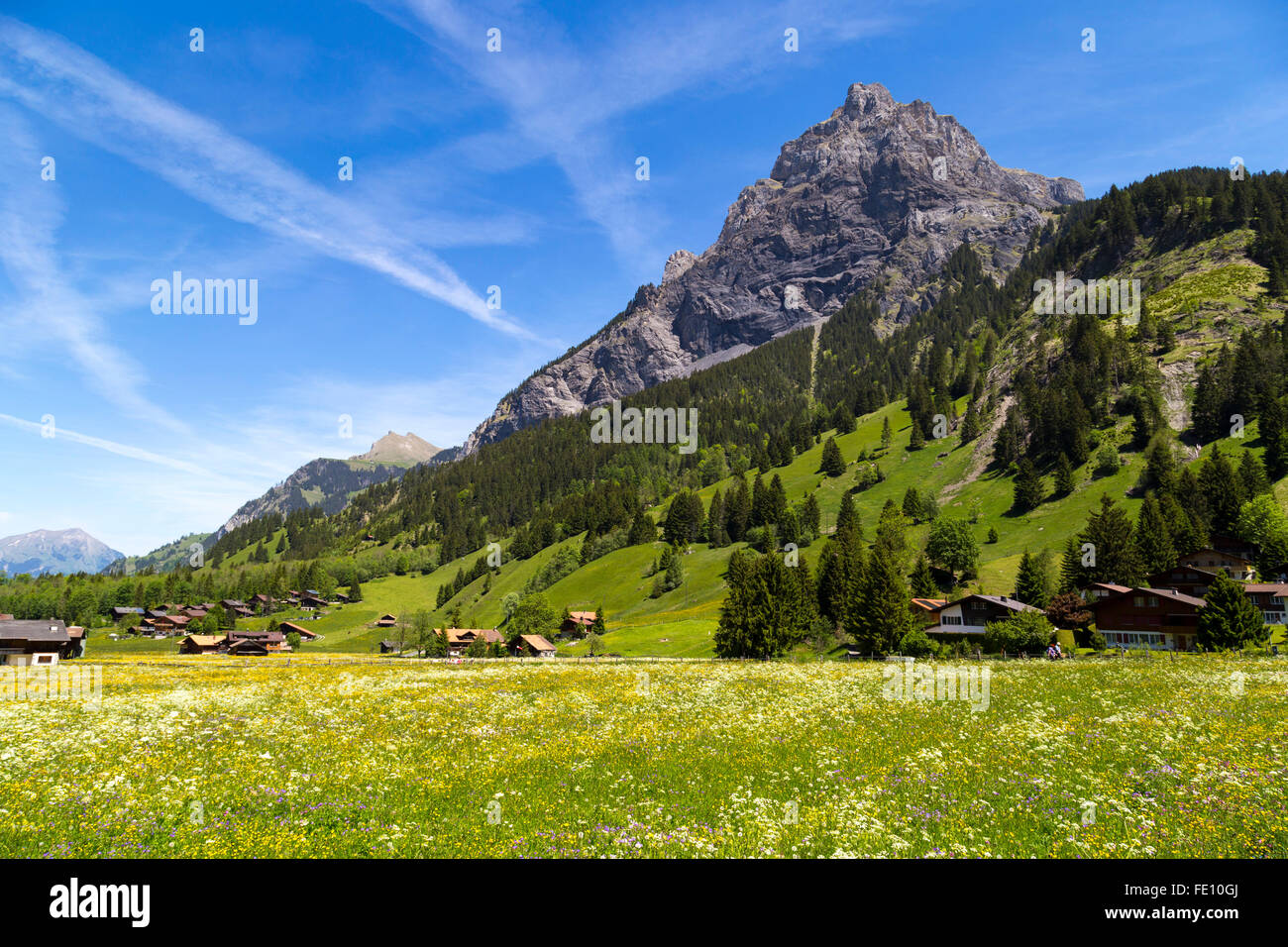 Panorama sur les Alpes et sur le chemin de randonnée Blüemlisalp près de Kandersteg sur l'Oberland bernois en Suisse Banque D'Images
