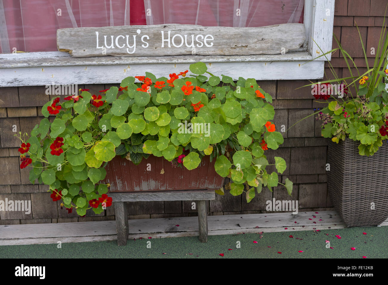 Colombie-britannique, Canada : Refuge Cove dock house détail de fleurs et fenêtre Banque D'Images