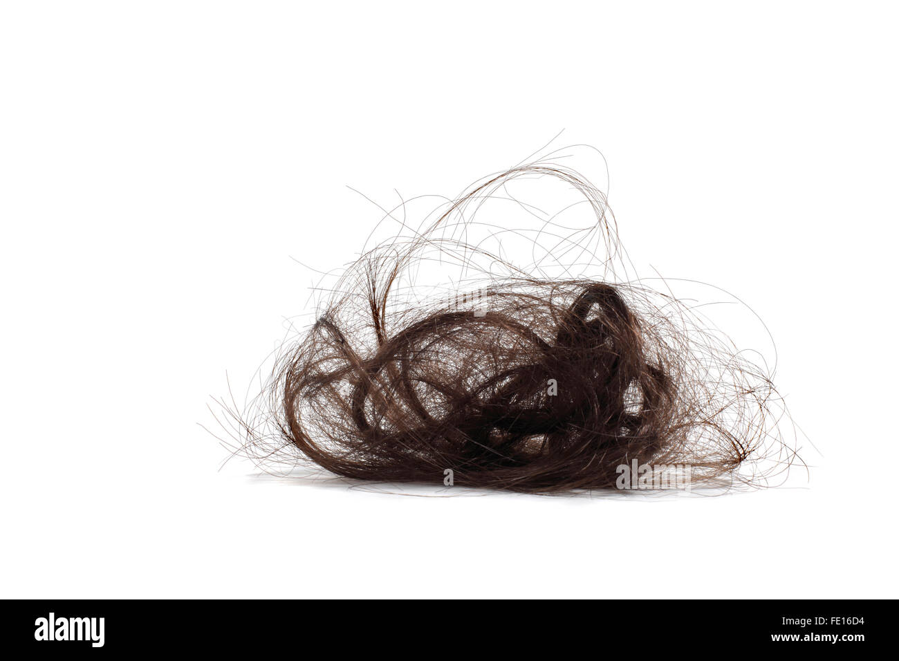Portrait d'une liasse de cheveux humains sur un fond blanc Banque D'Images