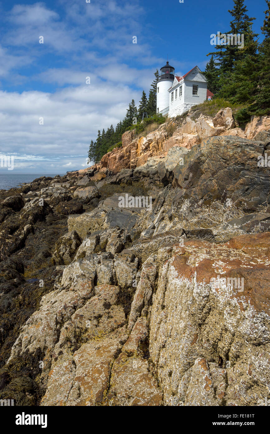 L'Acadia National Park, moi : Bass Harbor Head Lighthouse (1858) - Mount Desert Island Banque D'Images
