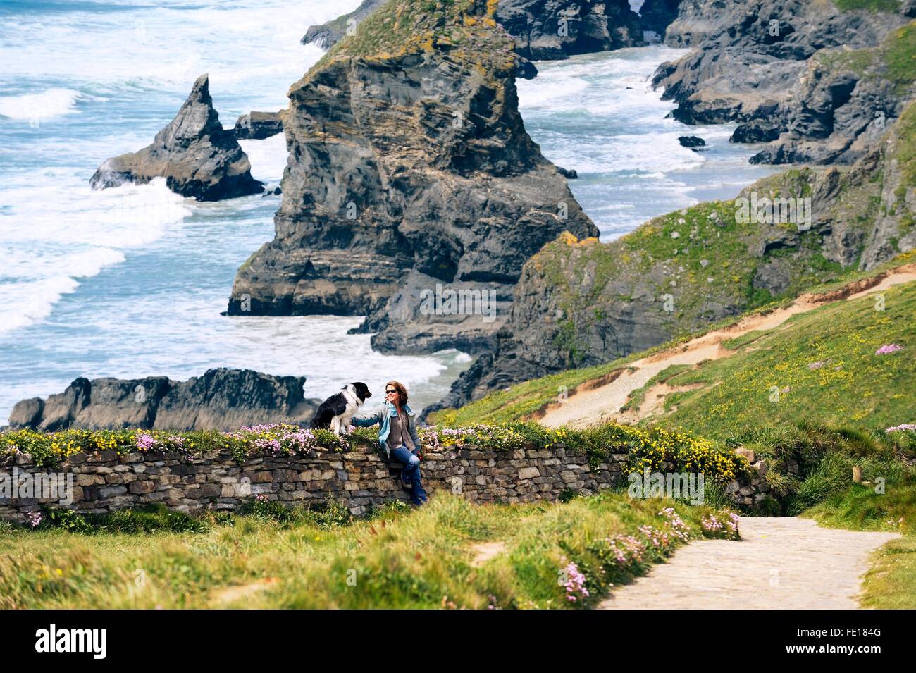 Les piles de la mer falaises au Bedruthan Steps sur le South West Coast Path près de Newquay, Cornwall, Angleterre. Femme et chien border collie Banque D'Images