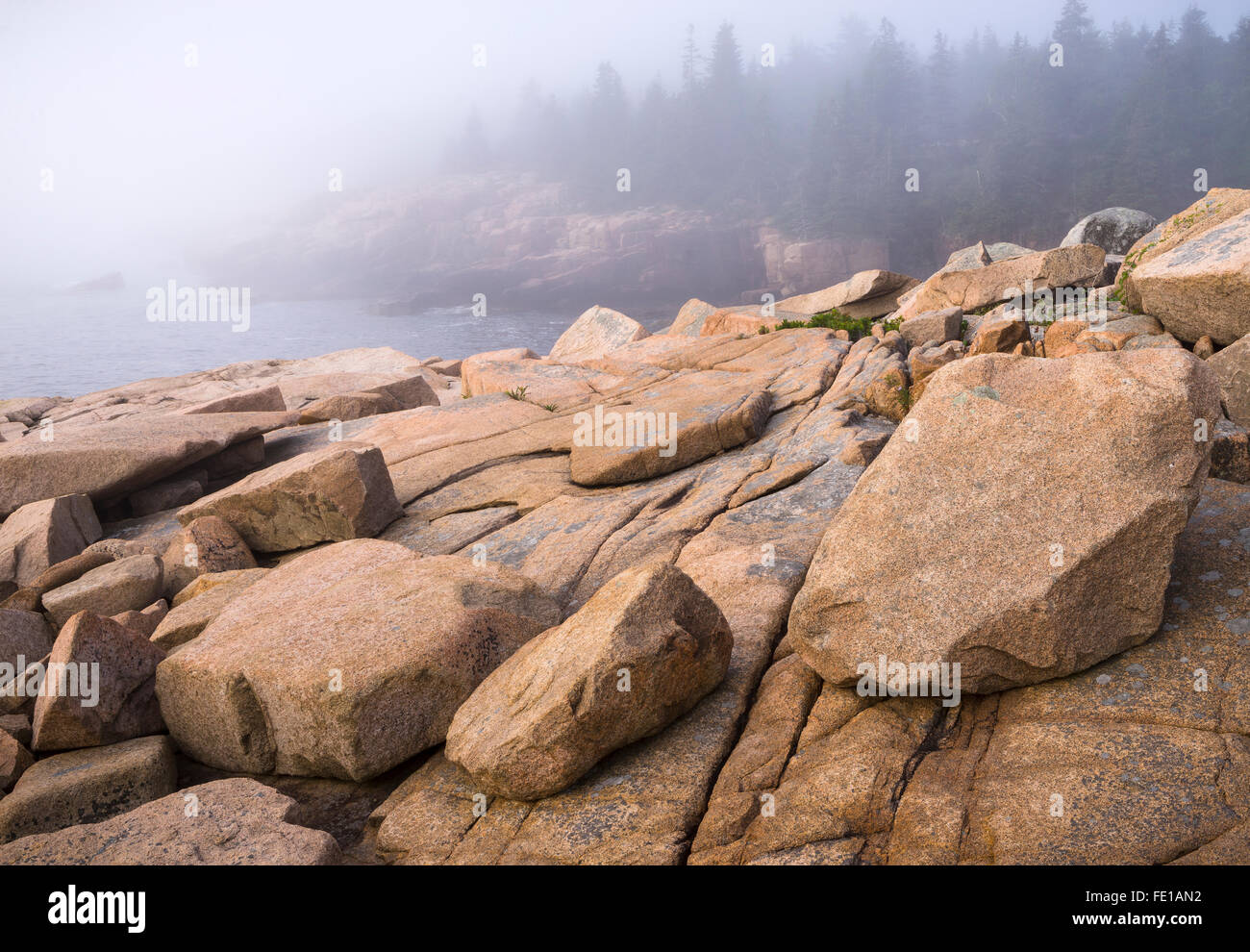 L'Acadia National Park, Maine : les couvertures de brouillard près de la côte de granit Otter Cliffs Banque D'Images
