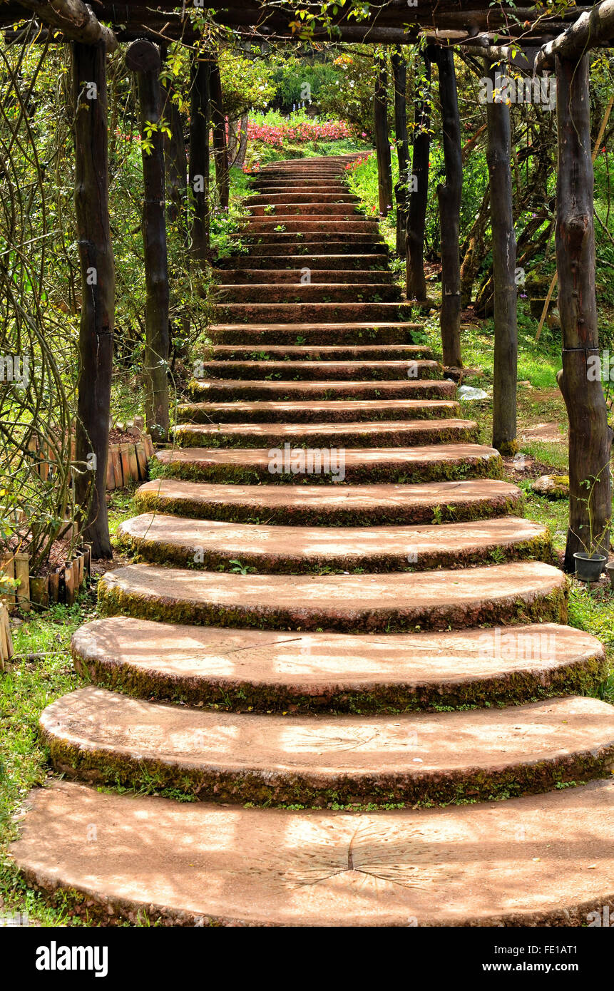 Jardin en escalier,ang khang, Chiangmai, Thaïlande Banque D'Images