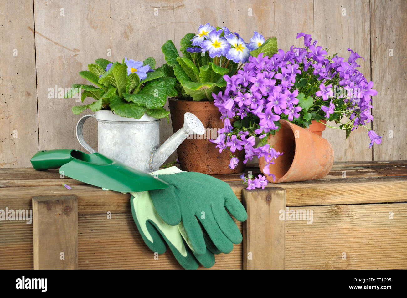 Fleurs, pots et accessoires de jardinage sur table en bois Banque D'Images