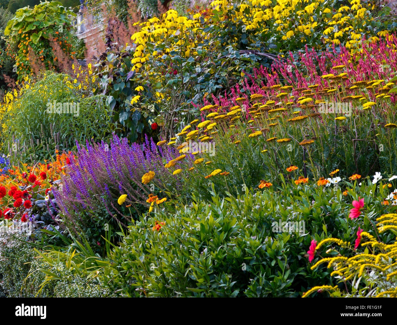 Vue à travers les frontières jardin formel à la fin de l'été au château de Powis près de Welshpool Powys Pays de Galles UK Banque D'Images