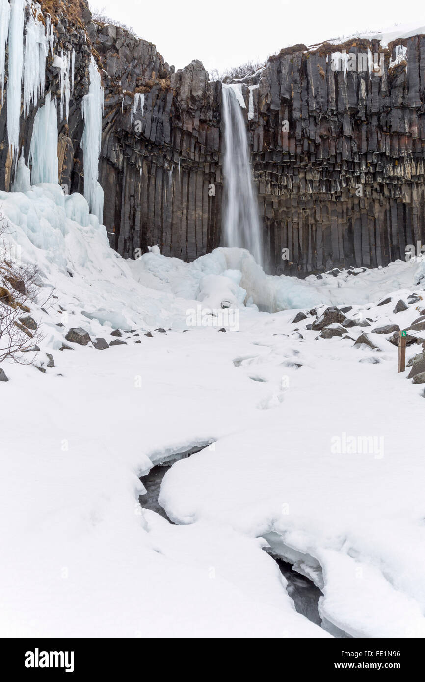 Cascade de Svartifoss, Islande Banque D'Images