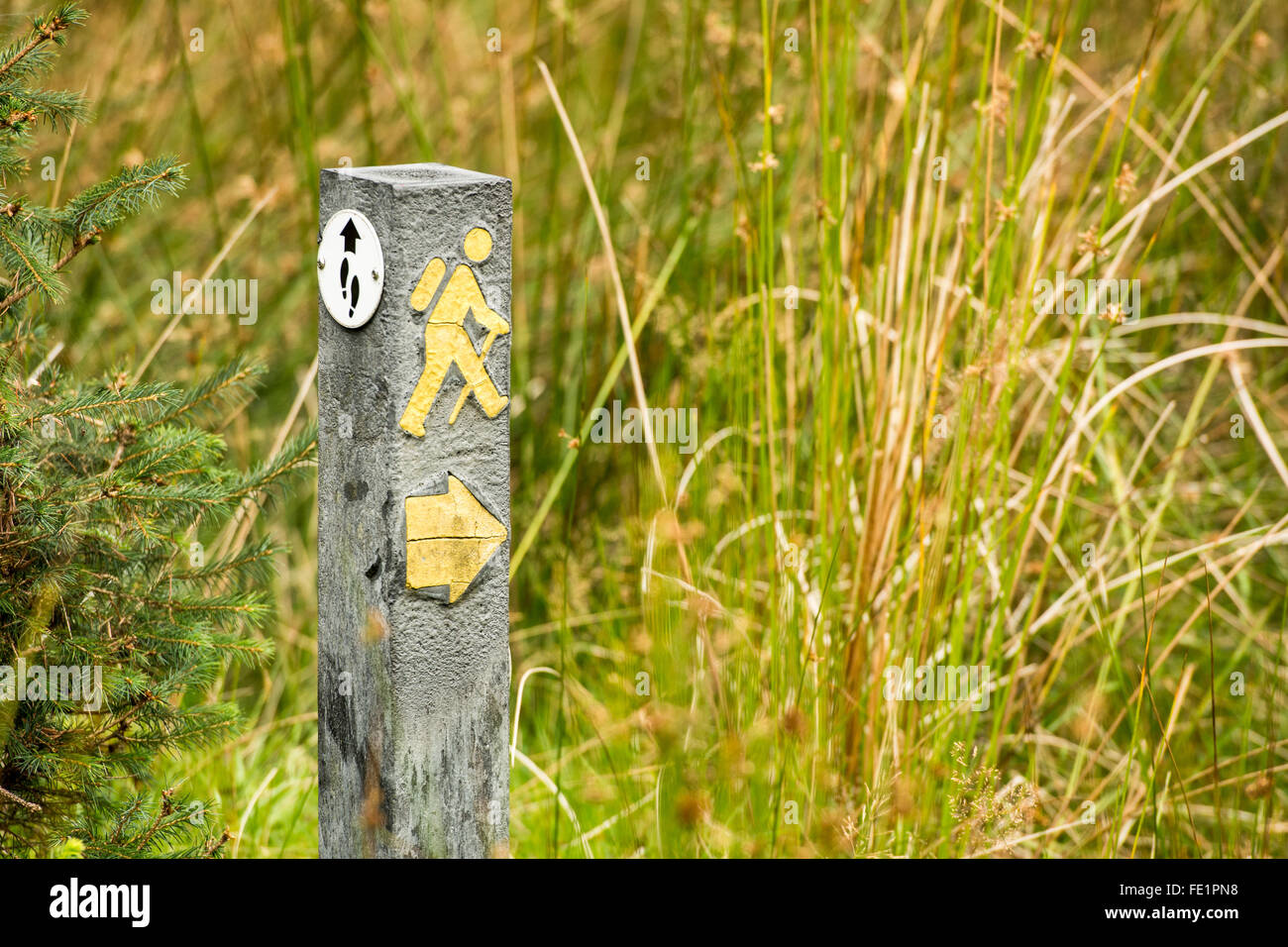 Panneau pour le Wicklow Way avec le petit bonhomme jaune indiquant le sentier balisé national Banque D'Images