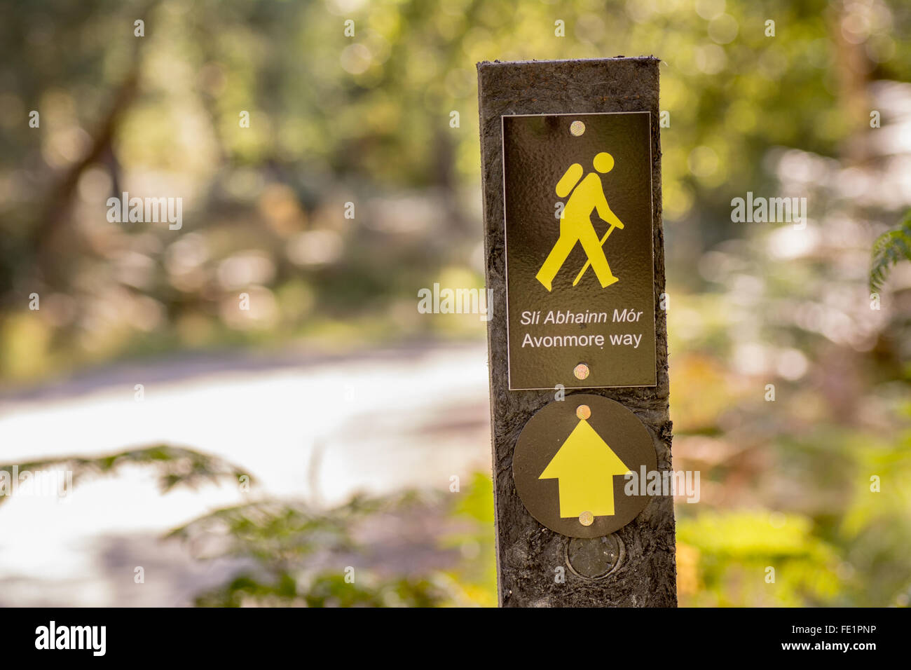 Pour signer l'Avonmore chemin un sentier balisé au bois à Wicklow Irlande Trooperstown Banque D'Images