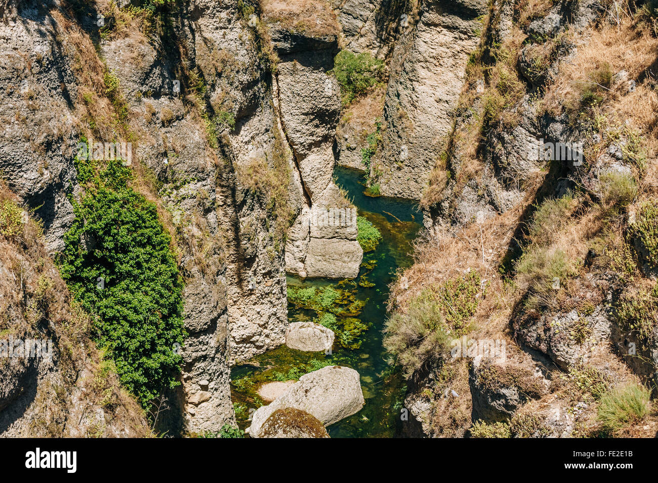 Tajo de Ronda Gorge, au bas de laquelle se trouve à une profondeur de 100 mètres, le fleuve rio Guadalevin. Ronda, Province de Malaga, Espagne. Banque D'Images