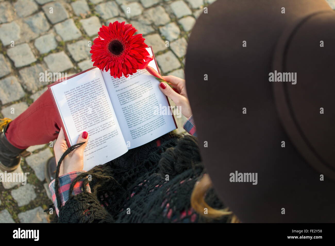 Fille romantique avec un livre et rouge gerbera flower Banque D'Images