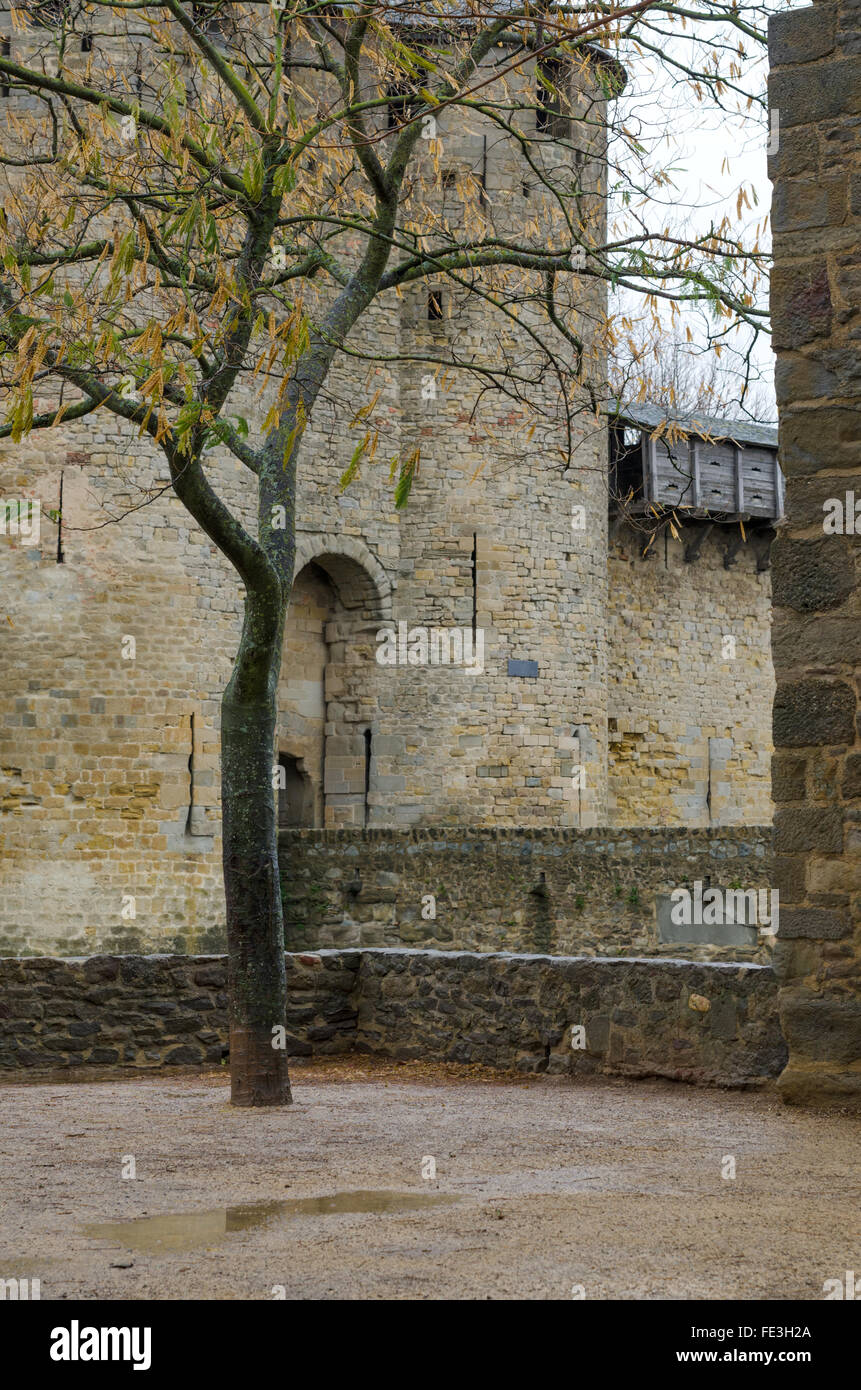 Une partie des remparts de la ville et la fortification de la cité médiévale de Carcassonne, Languedoc, France Banque D'Images