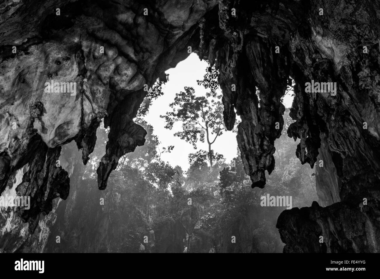 Low Angle View Of Rock Formation Au Cave contre des arbres Banque D'Images