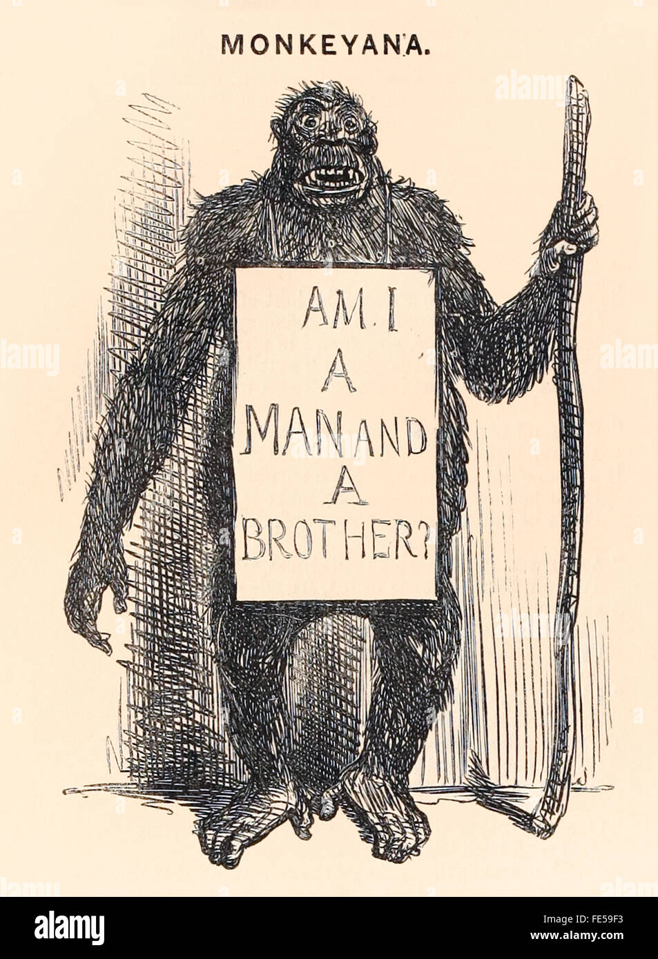 "Suis-je un homme et un frère ?" un mendiant ape placard se lit dans cette caricature onkeyana «' publié dans ce "Punch, or the London Charivari' caricature publiée en 1861. Voir la description pour plus d'informations. Banque D'Images