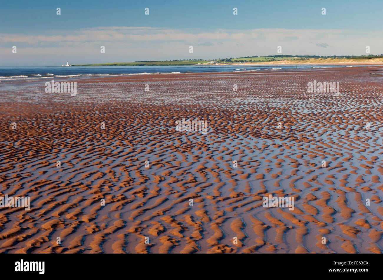 La plage de St Cyrus National Nature Reserve - Aberdeenshire, en Écosse. Banque D'Images
