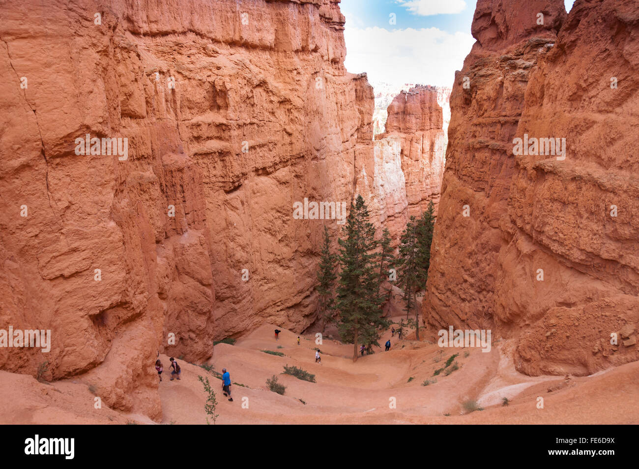 Le Bryce Canyon National Park, Utah, United States Banque D'Images