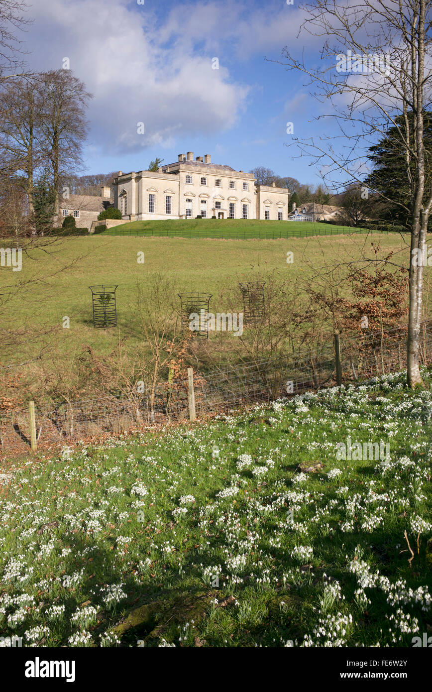 Perce-neige à painswick rococo gardens avec painswick house dans la distance. Cotswolds, Gloucestershire, Royaume-Uni Banque D'Images