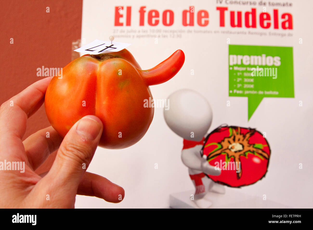 Concurso tomate feo, ugly tomato la concurrence. Tudela. Navarre. Espagne Banque D'Images