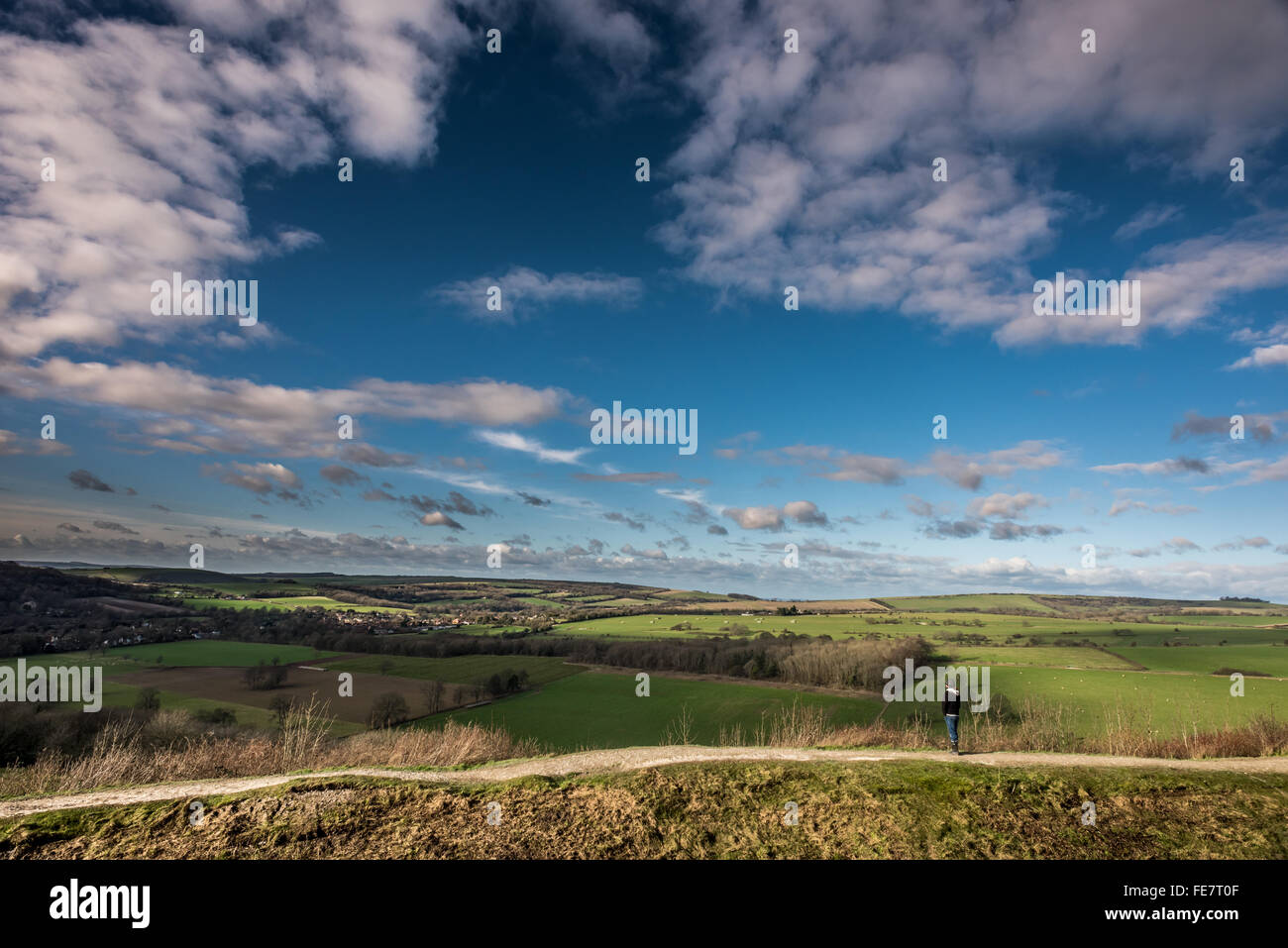 Vue nord de Cissbury Ring hill fort à Findon West Sussex. Banque D'Images