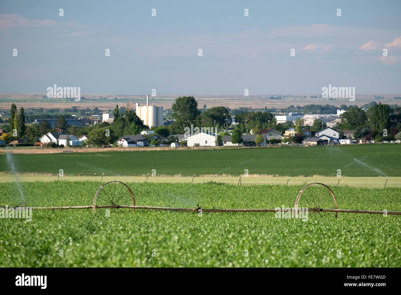 L'agriculture près de Twin Falls Idaho Banque D'Images
