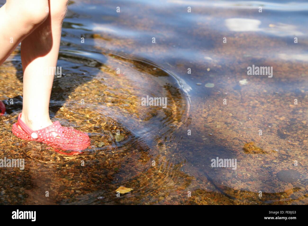 La section basse de femme marche dans l'eau peu profonde Banque D'Images