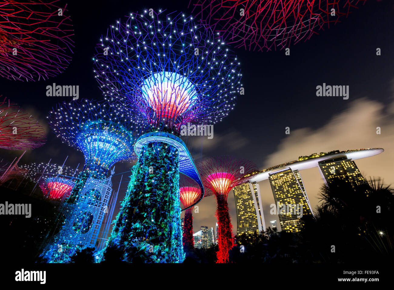 Supertree Grove et Marina Sands Hotel à Singapour Banque D'Images