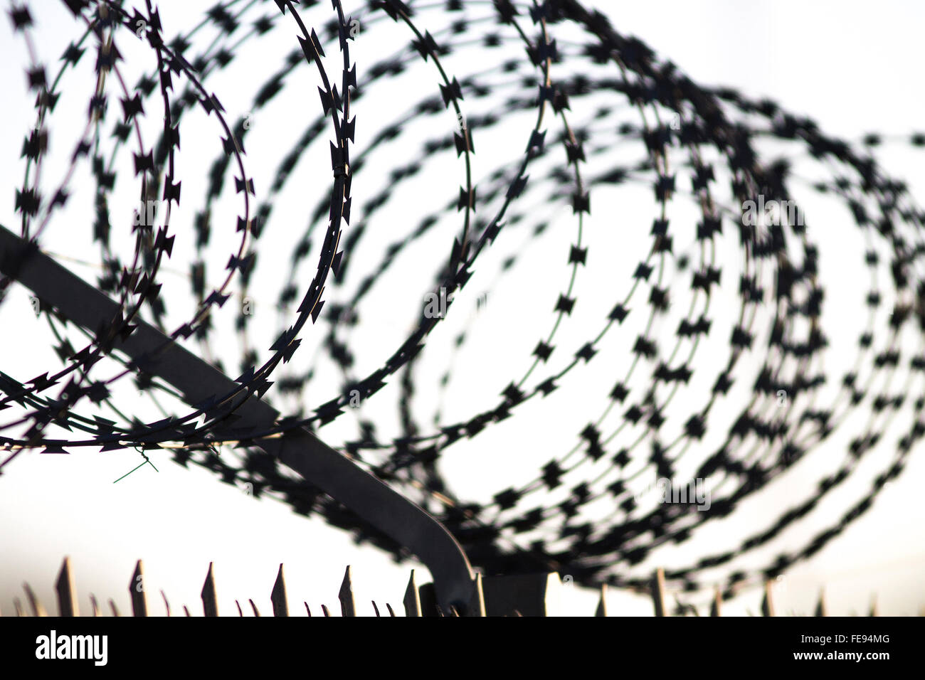 Razor wire fence Banque D'Images