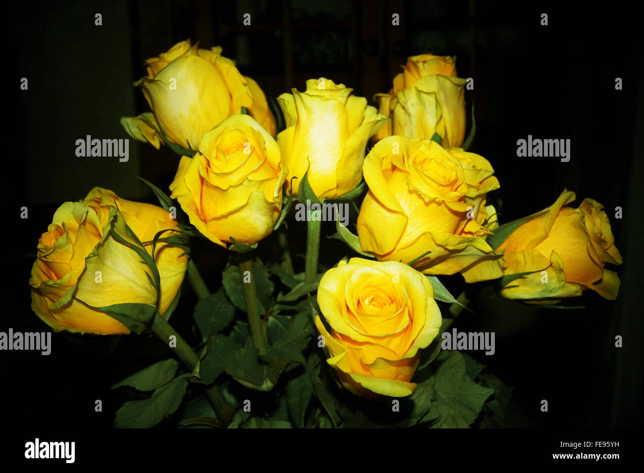 Ma famille et j'ai acheté un bouquet de fleurs pour ma soeur, quand elle est revenue à la maison d'une tournée d'un mois en Australie. Banque D'Images