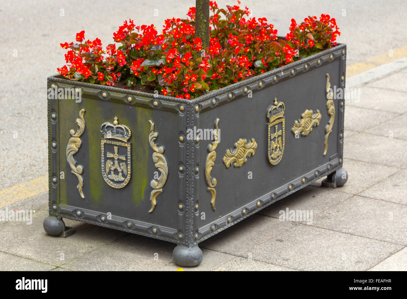 Fer élégant semoir avec les fleurs rouges Banque D'Images