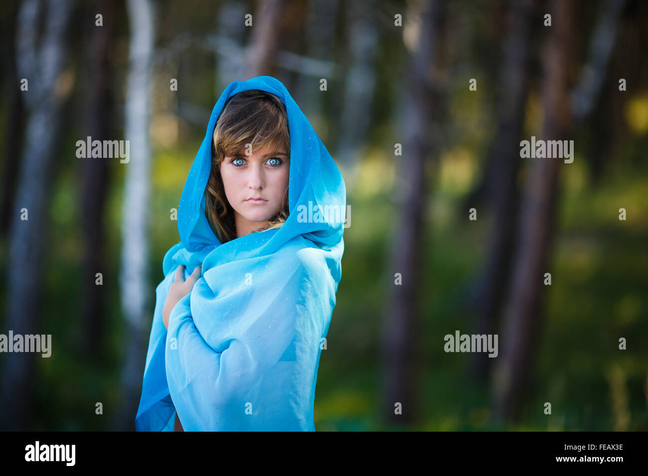 Portrait of attractive young girl in blue sari sa tête couverte d'une forêt Banque D'Images