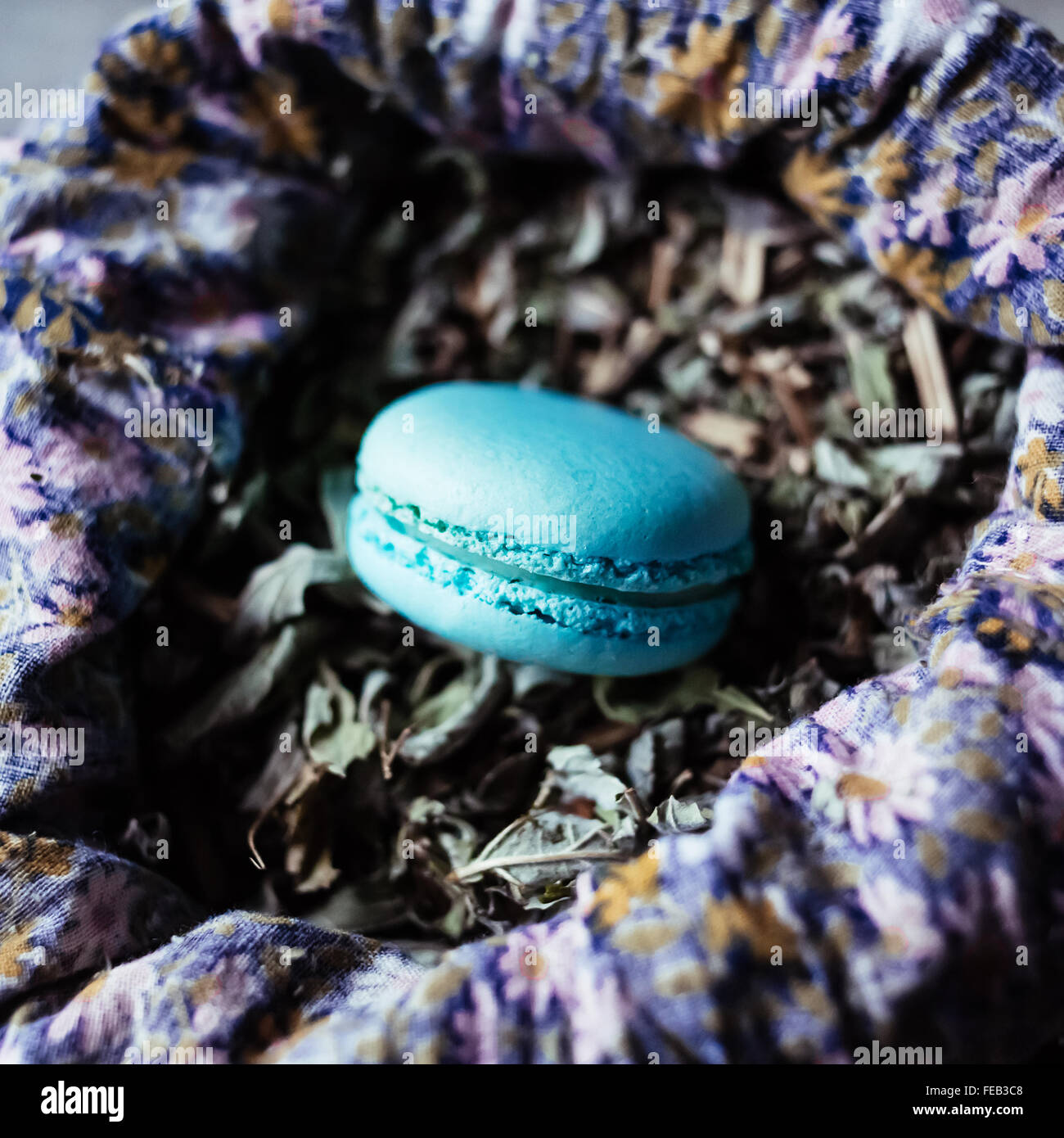Macaron menthe douce délicatesse française Banque D'Images
