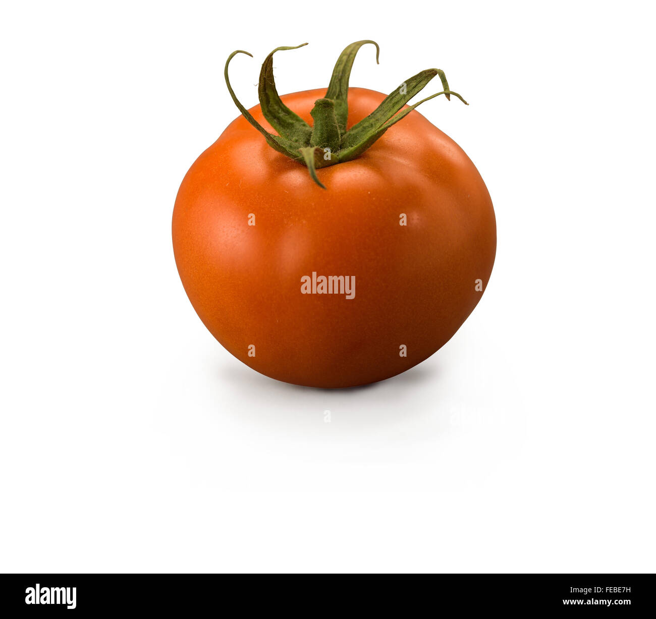 Grosse tomate isolé sur fond blanc Banque D'Images