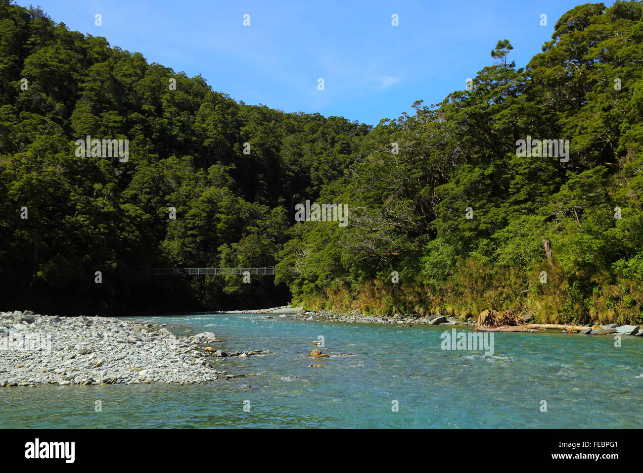 La Makarora River dans l'Otago, Nouvelle-Zélande. Très frileux de l'eau avec une clarté exceptionnelle - une piscine populaire destination. Banque D'Images