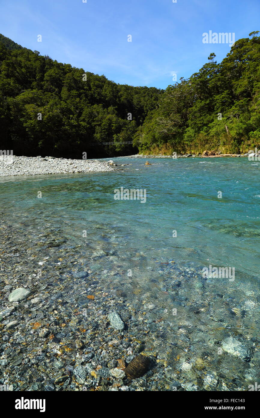 La Makarora River dans l'Otago, Nouvelle-Zélande. Très frileux de l'eau avec une clarté exceptionnelle - une piscine populaire destination. Banque D'Images