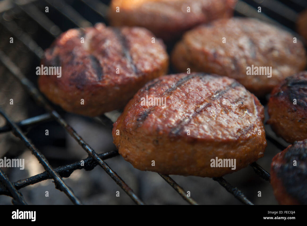 Les hamburgers de boeuf sur le grill Banque D'Images