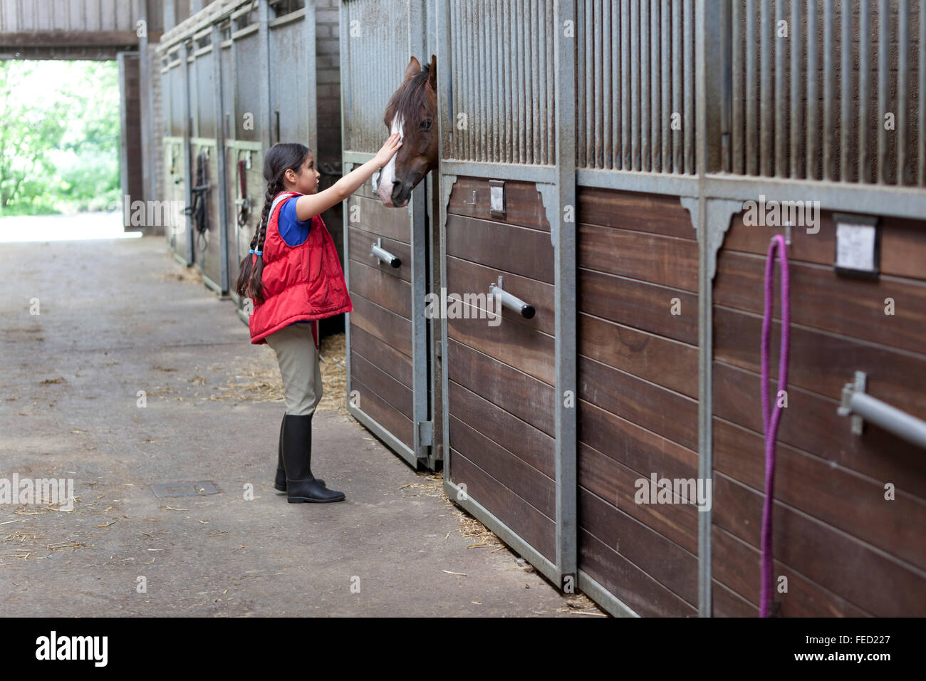 Petite fille avec son cheval favori dans l'étable Banque D'Images