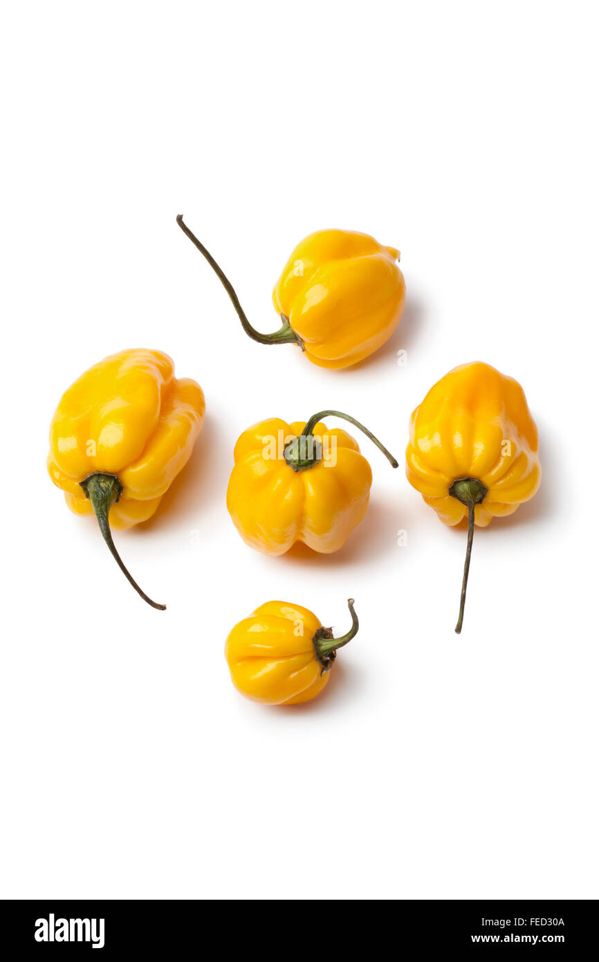 Des piments Scotch Bonnet jaune sur fond blanc Banque D'Images
