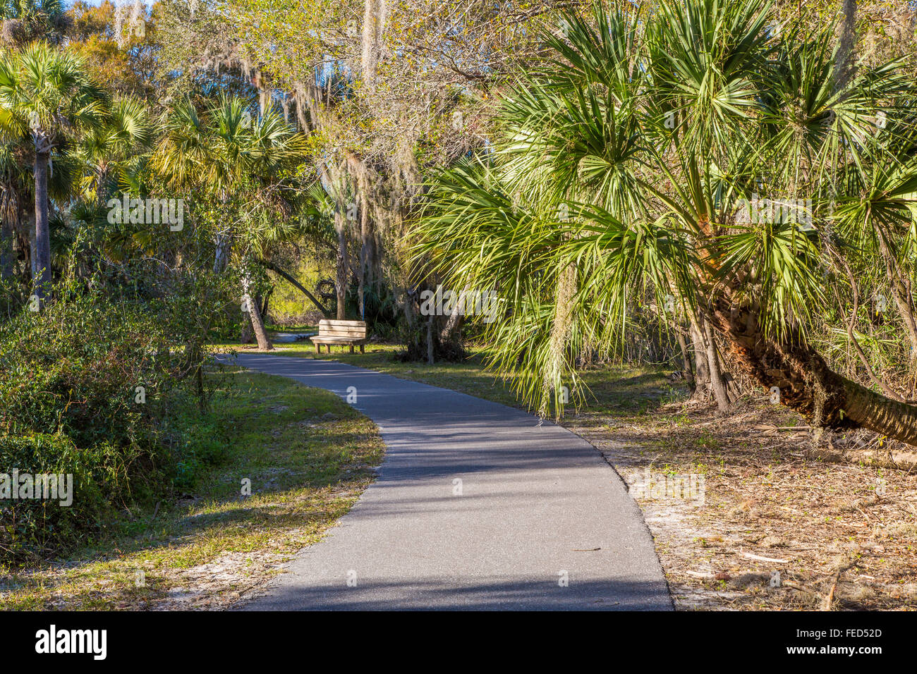 Venise Myakka River Park dans le sud-ouest de la Floride Floride Ville d'Venioe Banque D'Images