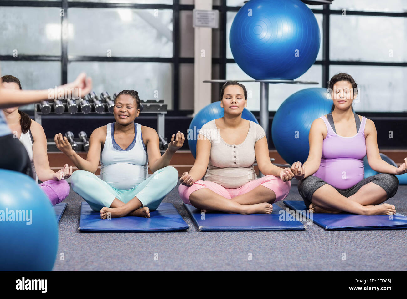 Les femmes enceintes faisant l'exercice de yoga Banque D'Images