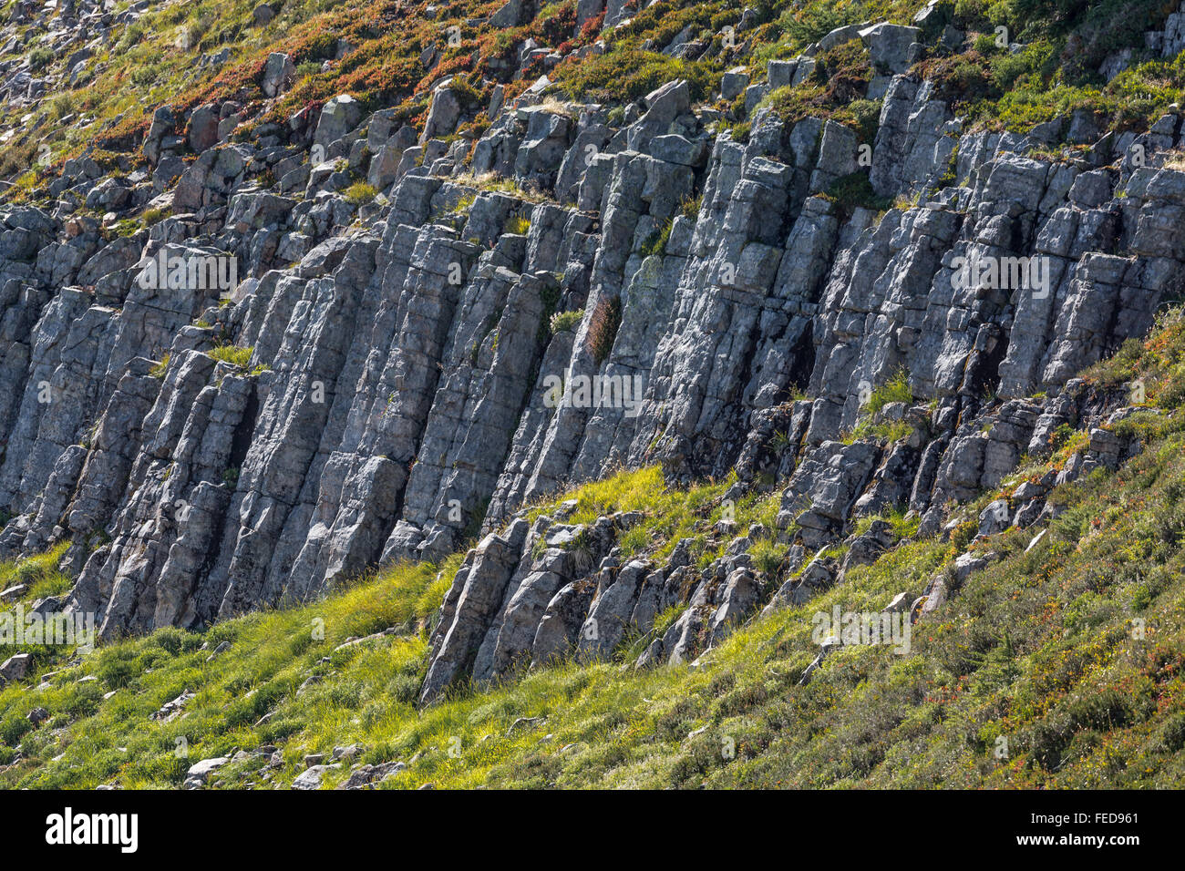 Les colonnes de basalte sur Ptarmigan Ridge Trail, Mount Baker-Snoqualmie National Forest dans les North Cascades, Washington State, USA Banque D'Images