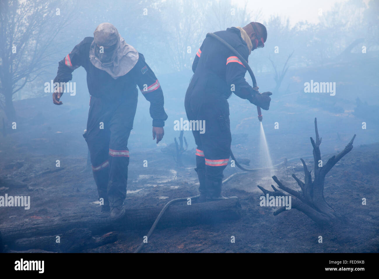 Les pompiers éteindre les incendies de forêt, parc national de Table Mountain, Afrique du Sud Banque D'Images