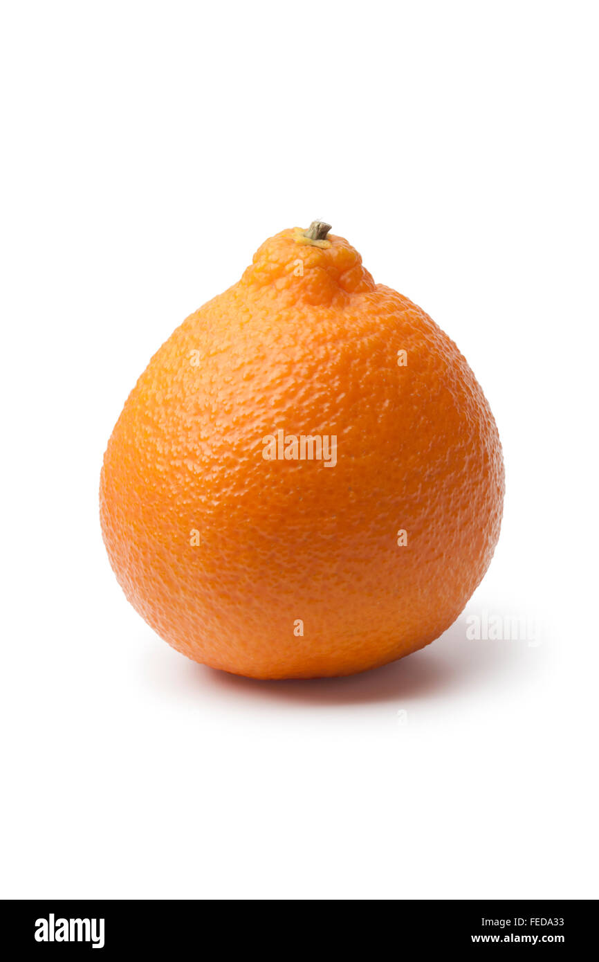 Frais unique mandarin Clementine sur fond blanc Banque D'Images