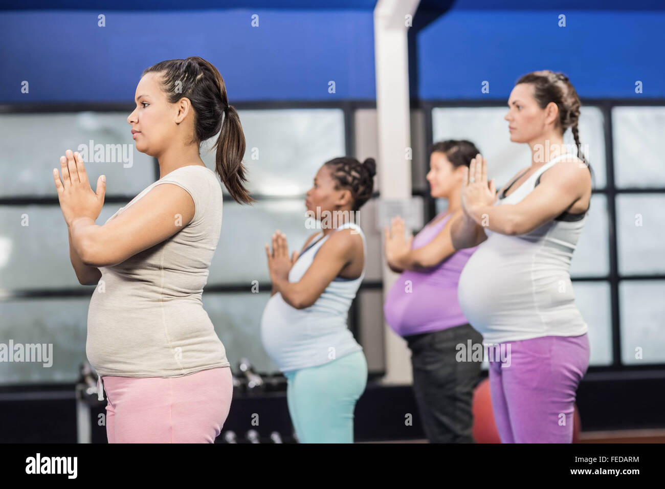 Les femmes enceintes faisant l'exercice de yoga Banque D'Images